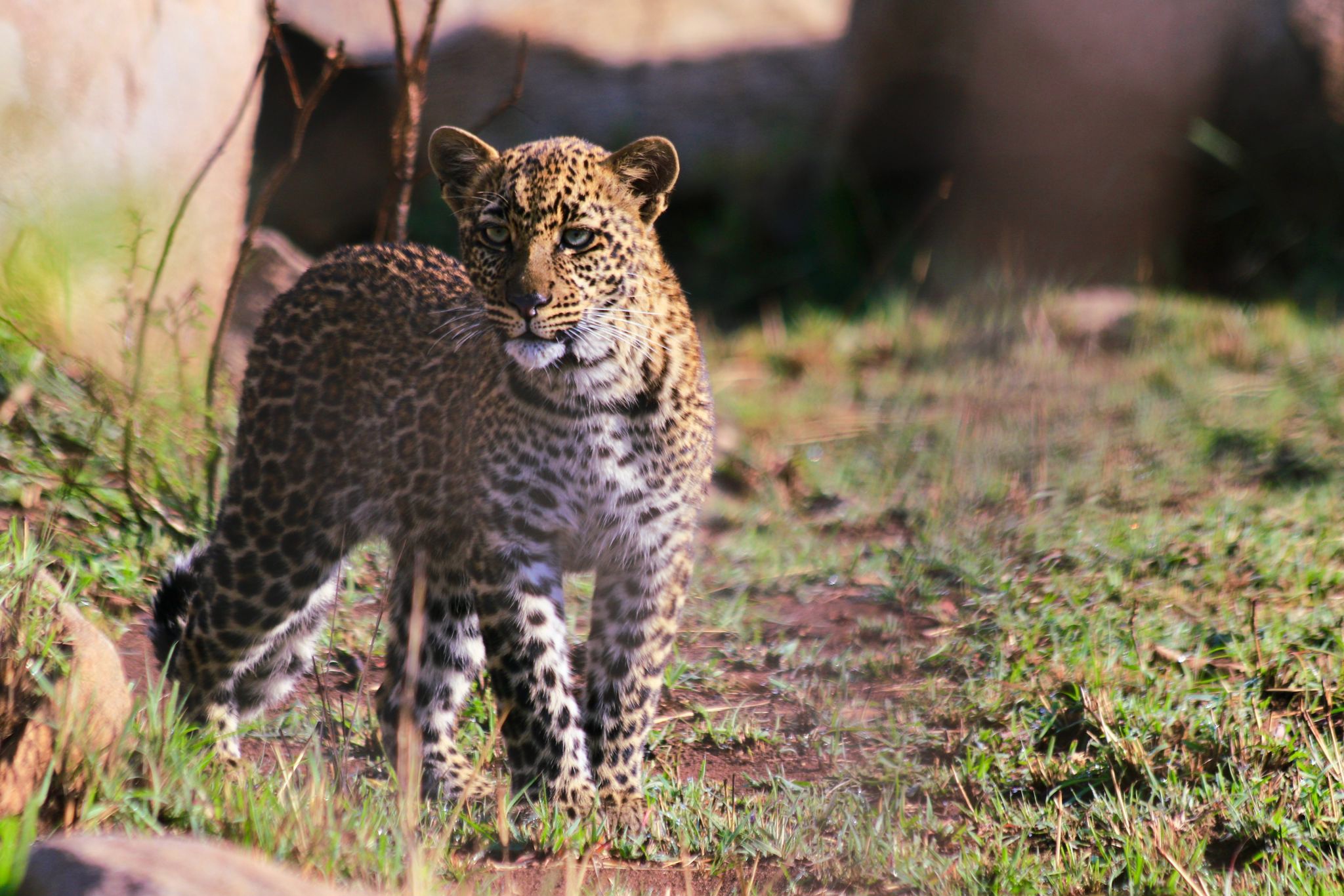 Lake Manyara National Park