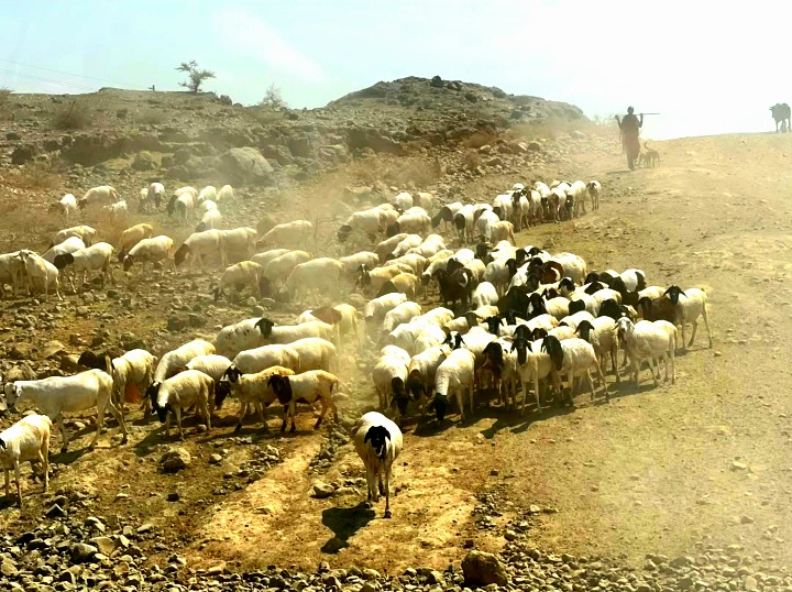 Beyond the Parks Tanzania showcasing culture, landscapes, local food, and authentic travel experiences.