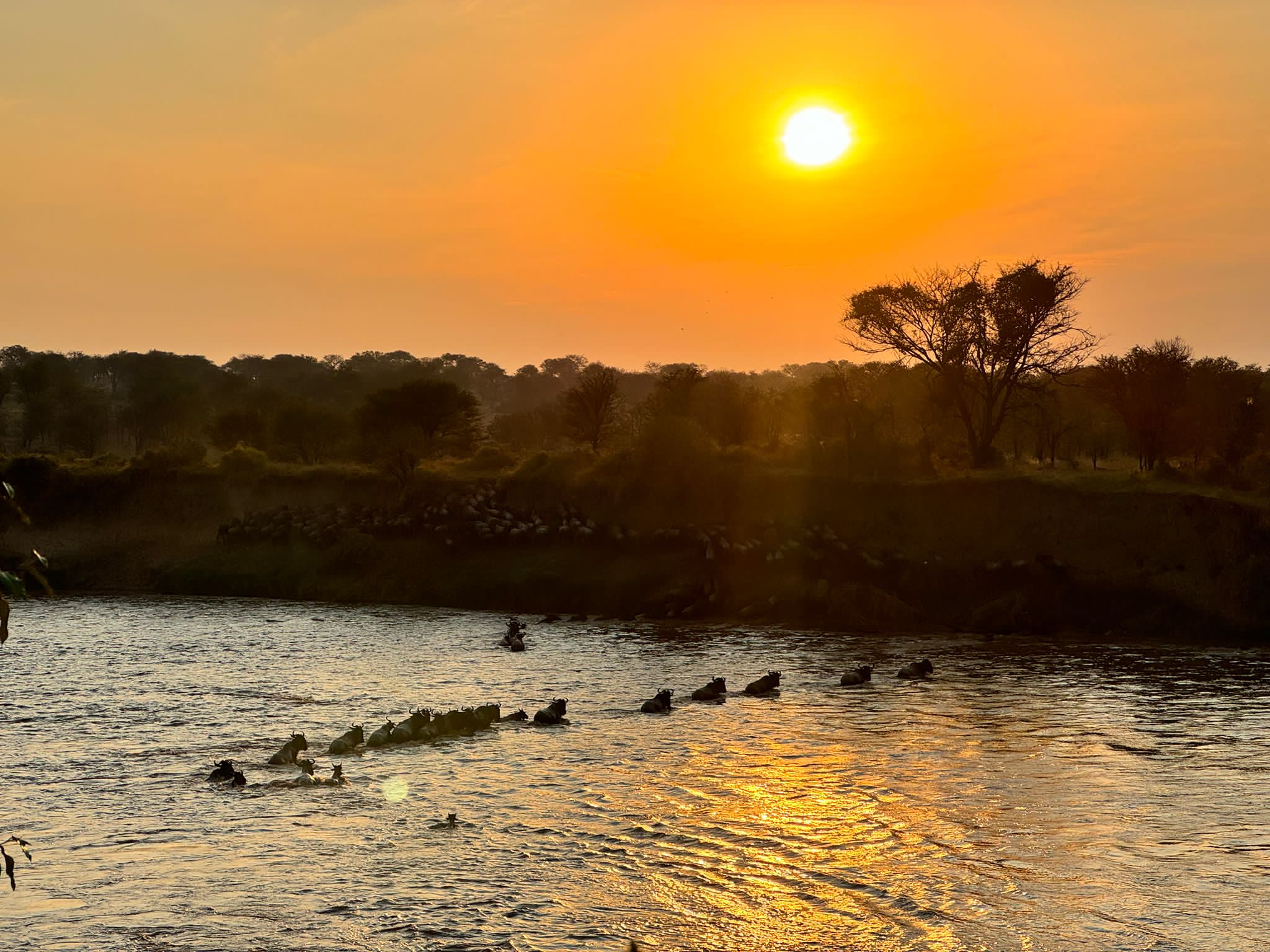 Pink Skies & Golden Dust – 9 Days Arusha, Lake Natron, Serengeti & Ngorongoro Safari